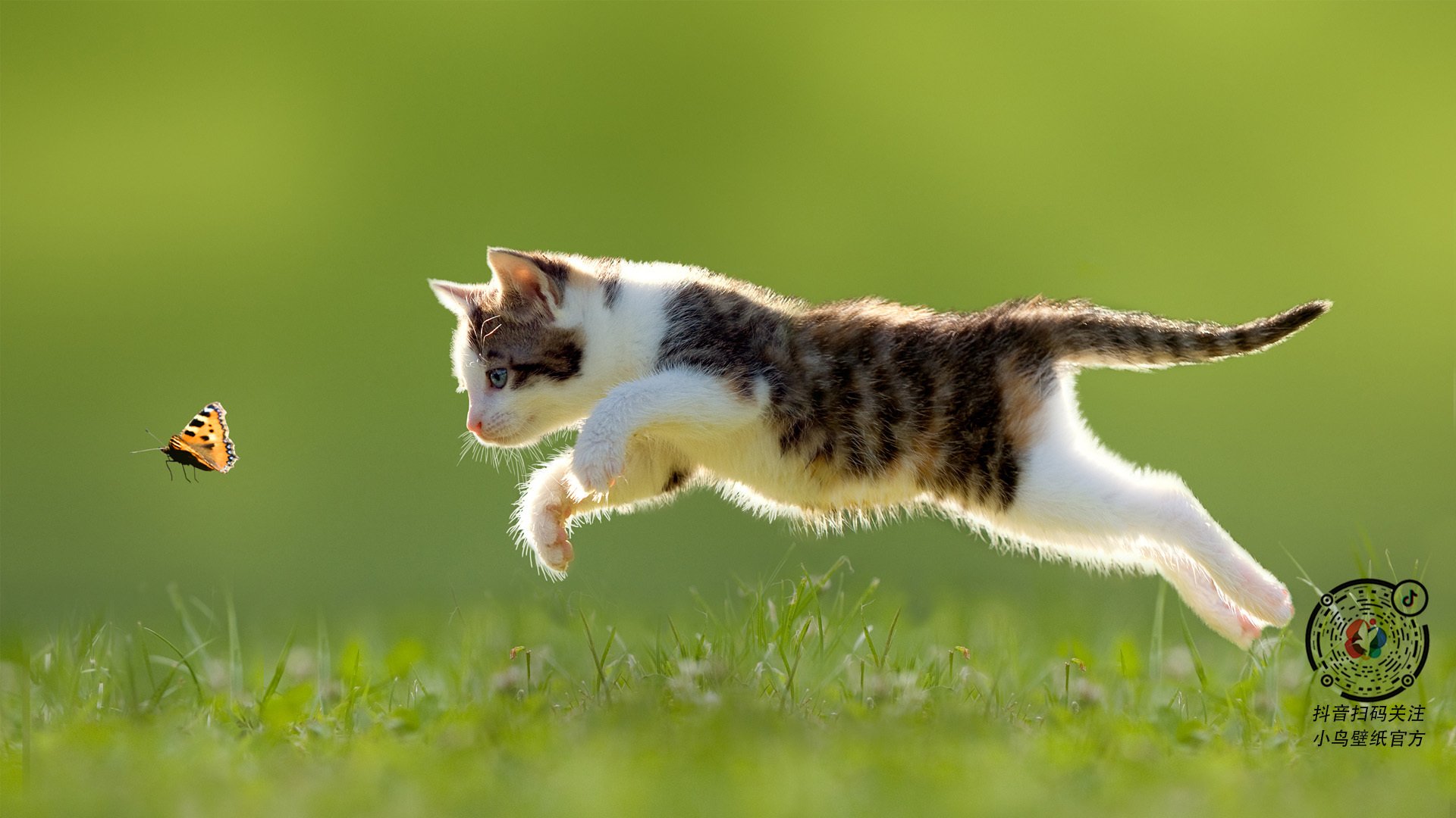 德甲“胜负关键战”：拜仁对多特，决战冠军归属