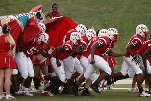 米兰体育入口-世界青少年高尔夫大赛中国女将勇夺奖杯，2020全国青少年高尔夫锦标赛