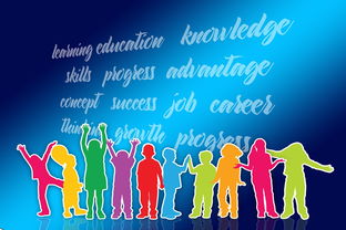 米兰体育官网登录入口-中国篮球职业联赛品牌战略及市场推广研究，中国的职业篮球联赛