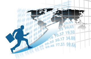 米兰体育网址-中国篮球职业联赛赛事运营管理优化研究，中国篮球竞赛体系