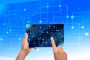 米兰体育官方网站-中国篮球青训体系教练员能力评估与发展规划，篮球教练员素养