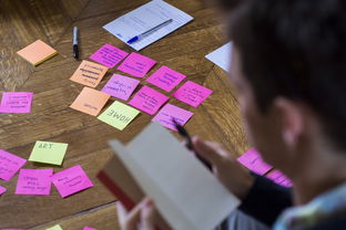 米兰体育在线-体育公益项目社会影响力研究，关于体育的公益项目